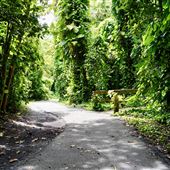 Snyder Park