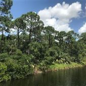 Kristin Jacobs Natural Area at Hillsboro Pineland