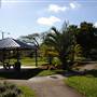 Poinciana Neighborhood Park & Poinciana Dog Park