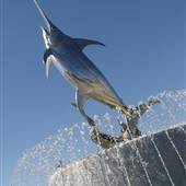 IGFA - Fishing Hall of Fame & Museum