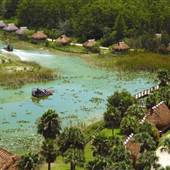 Billie Swamp Safari