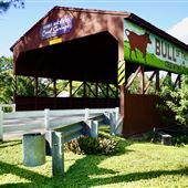 Coral Springs Covered Bridge