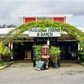 Marando Farms Ranch