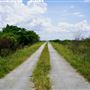 Everglades Holiday Park