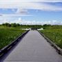 Volunteer Park