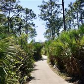 Helene Klein Pineland Preserve