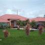 Poggi House