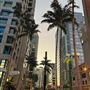Downtown Fort Lauderdale