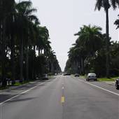 Hollywood Neighborhood