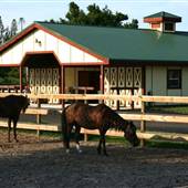 Saddle Up Stables