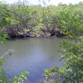 Dania Beach Waterway