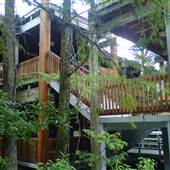 Fern Forest Nature Center