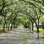 CB Smith Park & Paradise Watercove Park