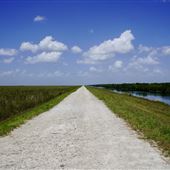 Sawgrass Trailhead