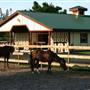 Saddle Up Stables