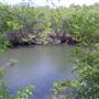 Dania Beach Waterway