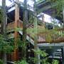 Fern Forest Nature Center