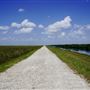 Sawgrass Trailhead