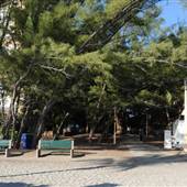 Hallandale South Beach Park