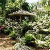 Constitution Park & Arboretum