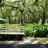 John Williams Park