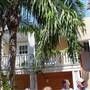 Coconut Cove Guesthouse
