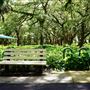 John Williams Park