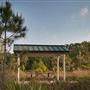 Saw Palmetto Natural Area