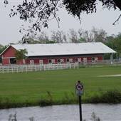 Tradewinds Stables At Tradewinds Park