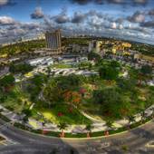 ArtsPark at Young Circle
