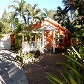 Lush Tropical Colorful Cottage