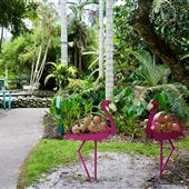 Flamingo Gardens
