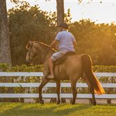 Parkland Equestrian Looks