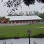 Tradewinds Stables At Tradewinds Park