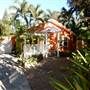 Lush Tropical Colorful Cottage
