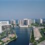 City of Hallandale Beach & Skyline