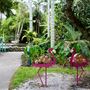 Flamingo Gardens