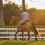 Parkland Equestrian Looks