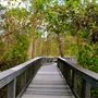 Tall Cypress Natural Area