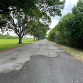 Brian Piccolo Park - roadways