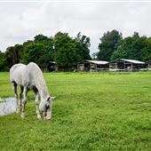 Bar-B Ranch