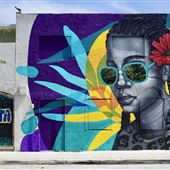 AOTA (Avenue of the Arts) District Murals