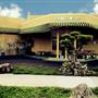 Pervis Young Museum