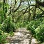 Tree Tops Park