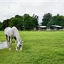 Bar-B Ranch