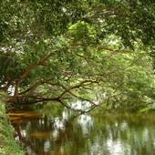 Cypress Park