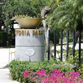 Victoria Park Neighborhood