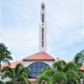 Saint Coleman Church
