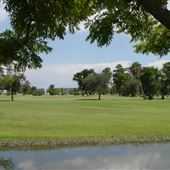 Palm Aire