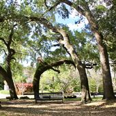 Annie Beck Park